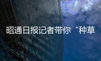 昭通日報記者帶你“種草”進博會文創產品