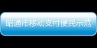 昭通市移動支付便民示范工程“工行e支付惠民示范街”率先啟動