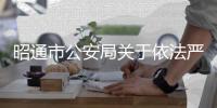 昭通市公安局關(guān)于依法嚴厲打擊網(wǎng)絡(luò)謠言的通告