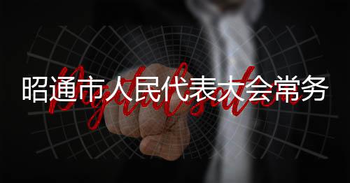 昭通市人民代表大會常務委員會任免名單