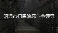 昭通市掃黑除惡斗爭領導小組2023年第1次會議召開