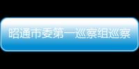 昭通市委第一巡察組巡察市水電移民辦