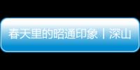 春天里的昭通印象丨深山尋竹王