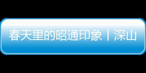 春天里的昭通印象丨深山尋竹王