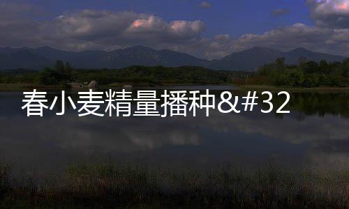 春小麥精量播種 智慧農(nóng)機助力新疆春耕生產(chǎn)