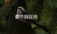 春節(jié)我在崗?