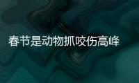 春節是動物抓咬傷高峰 被抓傷后這樣做