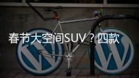 春節大空間SUV？四款高性價比車型值得一看