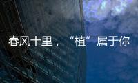 春風十里，“植”屬于你！2023年復旦大學植樹節主題活動舉行