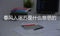 春風入屠蘇是什么意思的入（春風入屠蘇是什么意思）