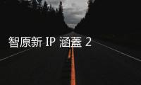 智原新 IP 涵蓋 22 奈米製程，加強布局影像介面