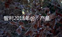 智利2018年份：產量正常，質量優秀