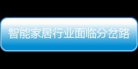 智能家居行業面臨分岔路口