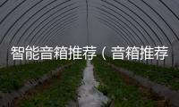 智能音箱推薦（音箱推薦）