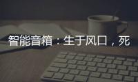 智能音箱：生于風口，死于同質化