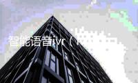 智能語音ivr（ivoka智能語音系統(tǒng)）