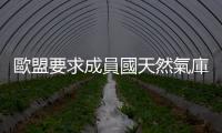 歐盟要求成員國天然氣庫存今冬前達到80%