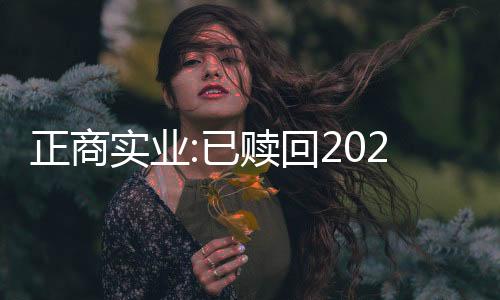 正商實業:已贖回2022年到期的2億美元票據