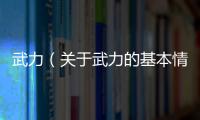 武力（關(guān)于武力的基本情況說明介紹）