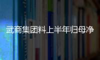 武商集團料上半年歸母凈利潤至多1.35億元 同比下降49.64%