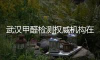 武漢甲醛檢測權威機構在哪兒（武漢甲醛檢測）