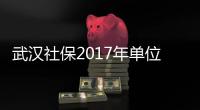 武漢社保2017年單位扣多少（武漢企業職工社保繳費標準）