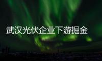 武漢光伏企業下游掘金 防范“政策依賴癥”,行業資訊