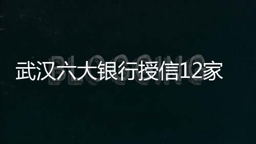 武漢六大銀行授信12家房企96億