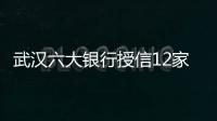 武漢六大銀行授信12家房企96億