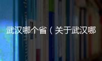 武漢哪個省（關(guān)于武漢哪個省的基本情況說明介紹）