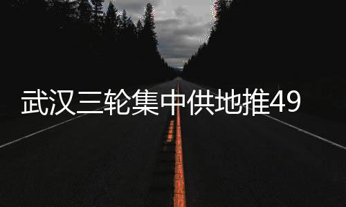 武漢三輪集中供地推49宗地 12月21日開拍