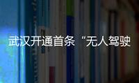 武漢開通首條“無人駕駛車”旅游專線