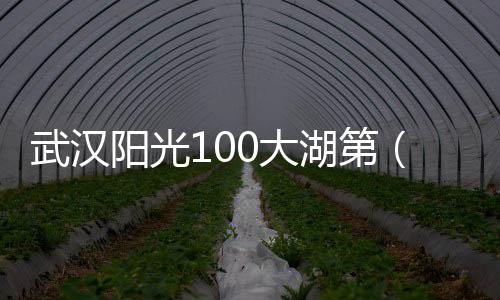 武漢陽光100大湖第（武漢陽光100）