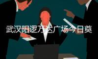 武漢陽邏萬達廣場今日奠基 預計2021年年底竣工