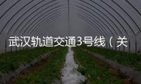 武漢軌道交通3號線（關于武漢軌道交通3號線的基本情況說明介紹）