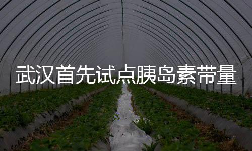 武漢首先試點胰島素帶量收購藥企代表商洽現場潰散流淚……