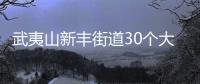 武夷山新豐街道30個大棚百合花喜迎“新春”