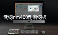 武鋼nm400耐磨鋼板價格現貨報價