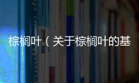 棕櫚葉（關(guān)于棕櫚葉的基本情況說明介紹）