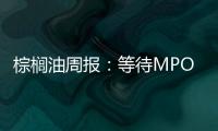 棕櫚油周報：等待MPOB月報發布，短期棕櫚油走勢震蕩