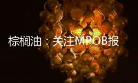 棕櫚油：關注MPOB報告