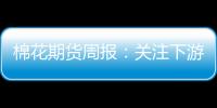 棉花期貨周報：關注下游紡企接單情況