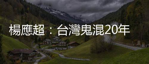 楊應(yīng)超：臺灣鬼混20年，都在混什麼？｜天下雜誌