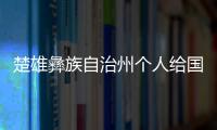 楚雄彝族自治州個人給國外賬戶匯款需要什么手續