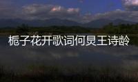 梔子花開歌詞何炅王詩齡（梔子花開歌詞）