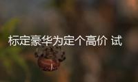 標定豪華為定個高價 試駕上汽大眾輝昂