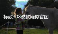 標致308改款疑似官圖曝光 6月正式發(fā)布