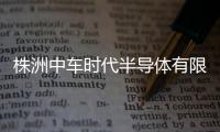 株洲中車(chē)時(shí)代半導(dǎo)體有限公司5T振動(dòng)臺(tái)中標(biāo)結(jié)果公告