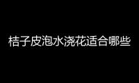 桔子皮泡水澆花適合哪些花能施百合花嗎（桔子皮泡水澆花適合哪些花）