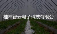 桂林智云電子科技有限公司和智云廣西桂林的情況說明